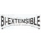 Bi-Extensible|Bi-Extensible