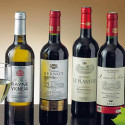 Assortiment de vins "Découverte Terroir"