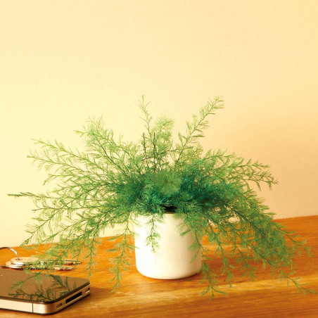 Plante repousse-insectes