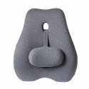 Coussin dorsal