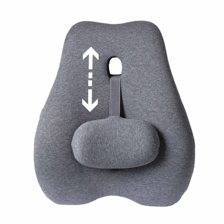 Coussin dorsal