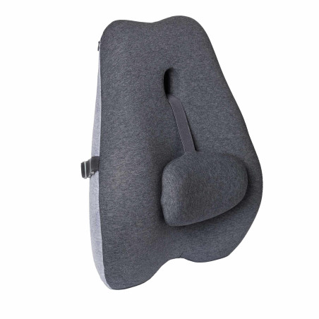 Coussin dorsal