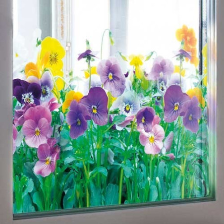 Film pour vitrage «jardin fleuri»