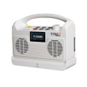Enceinte amplificateur TV sans fil