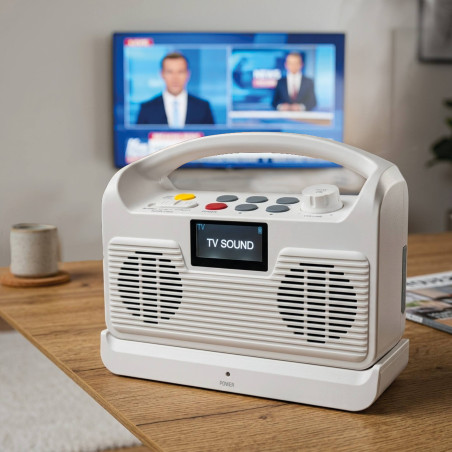 Enceinte amplificateur TV sans fil (2)