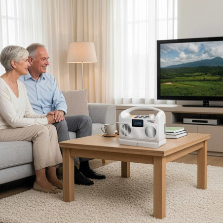 Enceinte amplificateur TV sans fil (3)