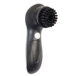 La brosse à chaussures