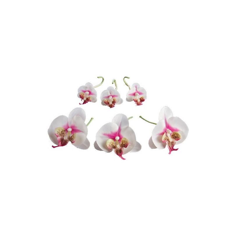 Fleurs d’orchidées «éternelles» - les 6
