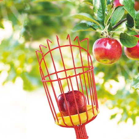 CUEILLE-FRUITS