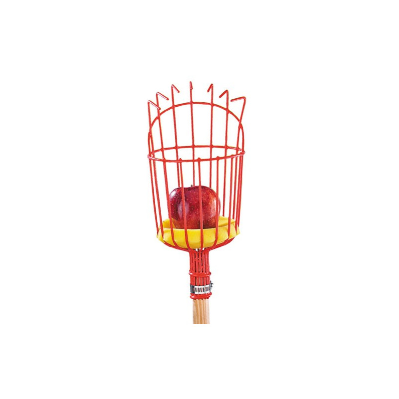 CUEILLE-FRUITS