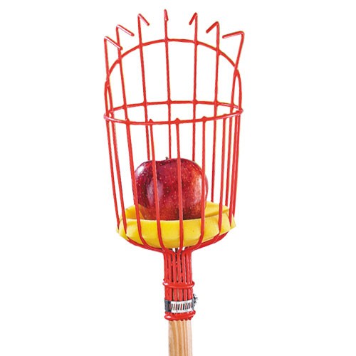 CUEILLE-FRUITS