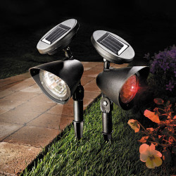 Les 2 spots solaires...