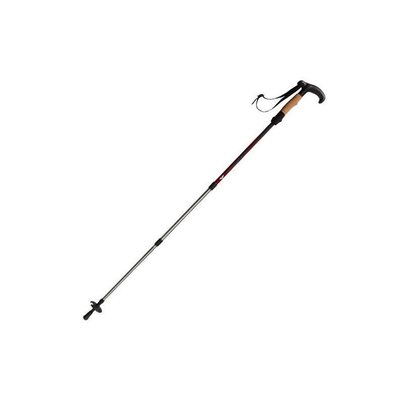 CANNE DE MARCHE TELESCOPIQUE