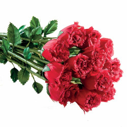 BOUQUET "PLUMES DE ROSES"