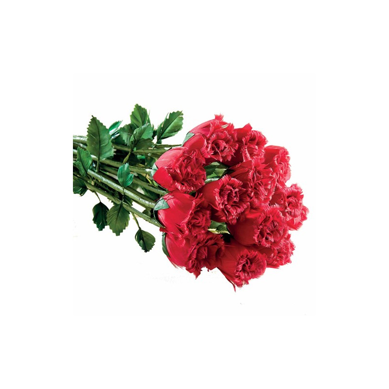 BOUQUET "PLUMES DE ROSES"