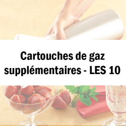 Les 10 cartouches de gaz