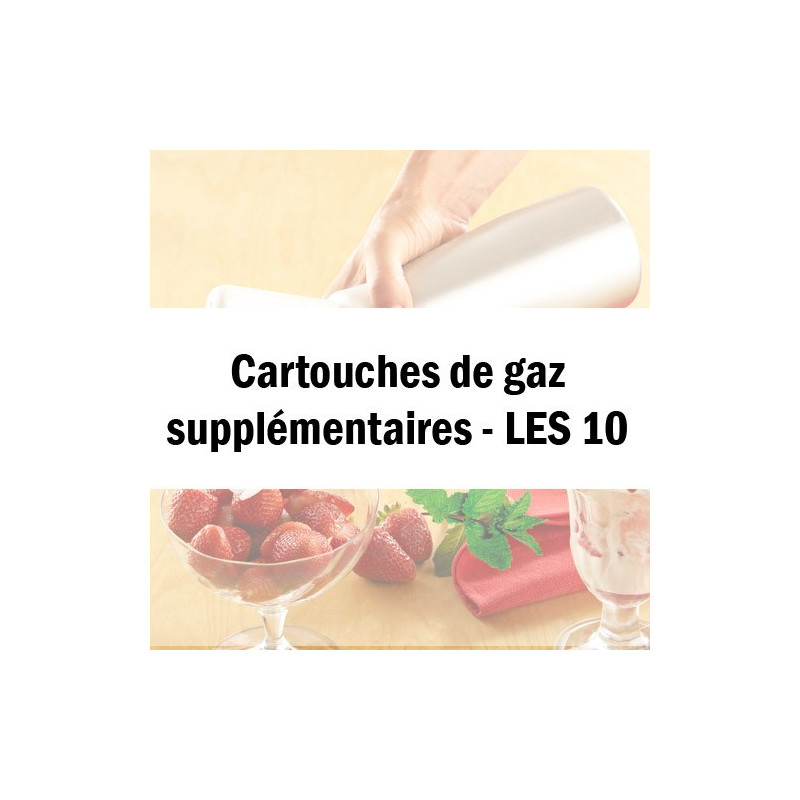 Les 10 cartouches de gaz