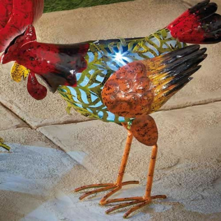 POULE SOLAIRE