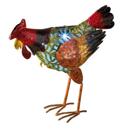 POULE SOLAIRE