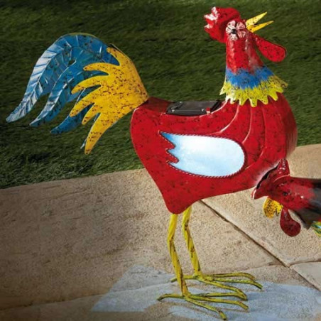 COQ SOLAIRE