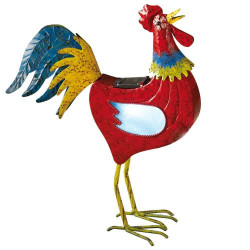 COQ SOLAIRE