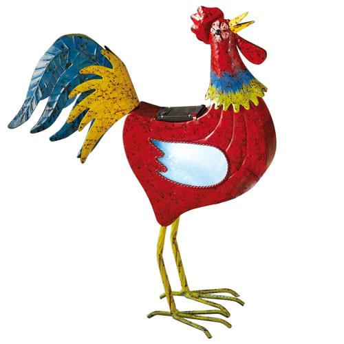 COQ SOLAIRE