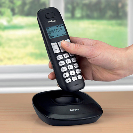 DUO DE TÉLÉPHONES SANS FIL