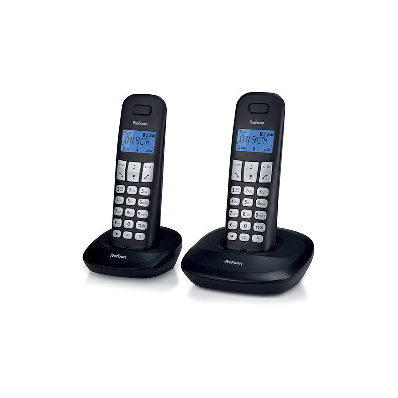 DUO DE TÉLÉPHONES SANS FIL