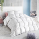COUETTE PLUMES ET DUVET +  2 OREILLERS