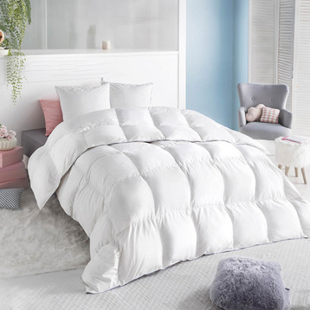 COUETTE PLUMES ET DUVET +  2 OREILLERS