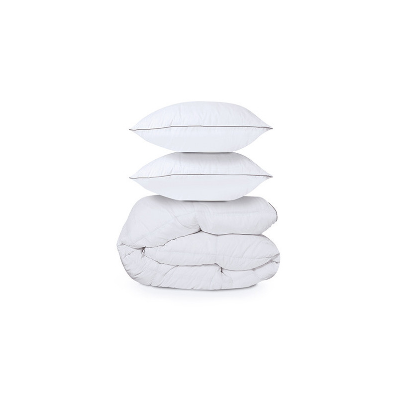COUETTE PLUMES ET DUVET +  2 OREILLERS