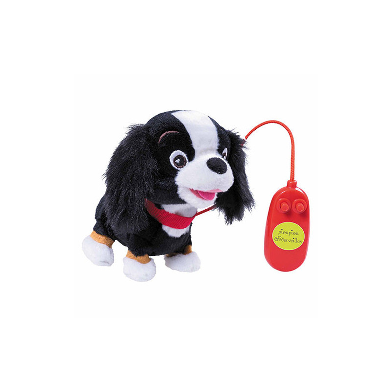 ROXIE CHIEN FILOGUIDÉ