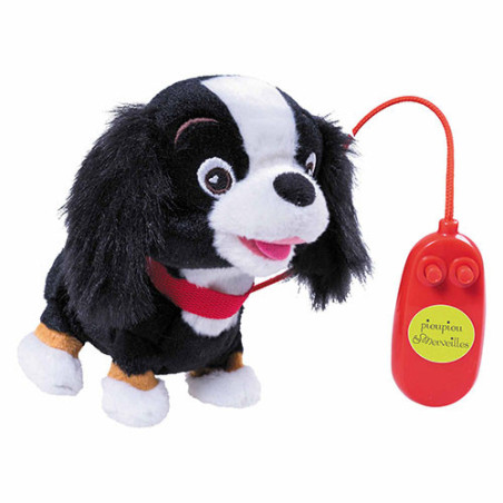 ROXIE CHIEN FILOGUIDÉ