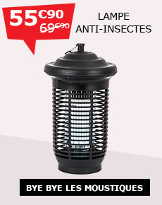 sans titre