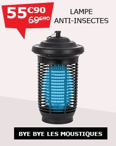 sans titre