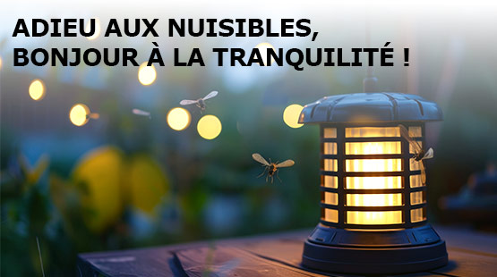 Bannière 1 ligne 1