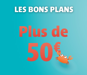 Bannière 2 ligne 1